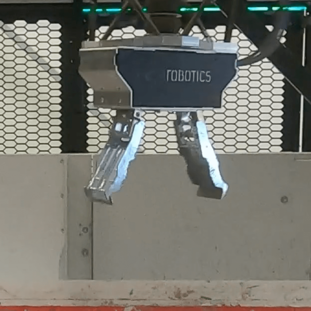 Härski-lajittelurobotti